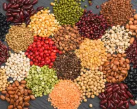 देशी बीज: धरती की धड़कन, स्वराज की साँस